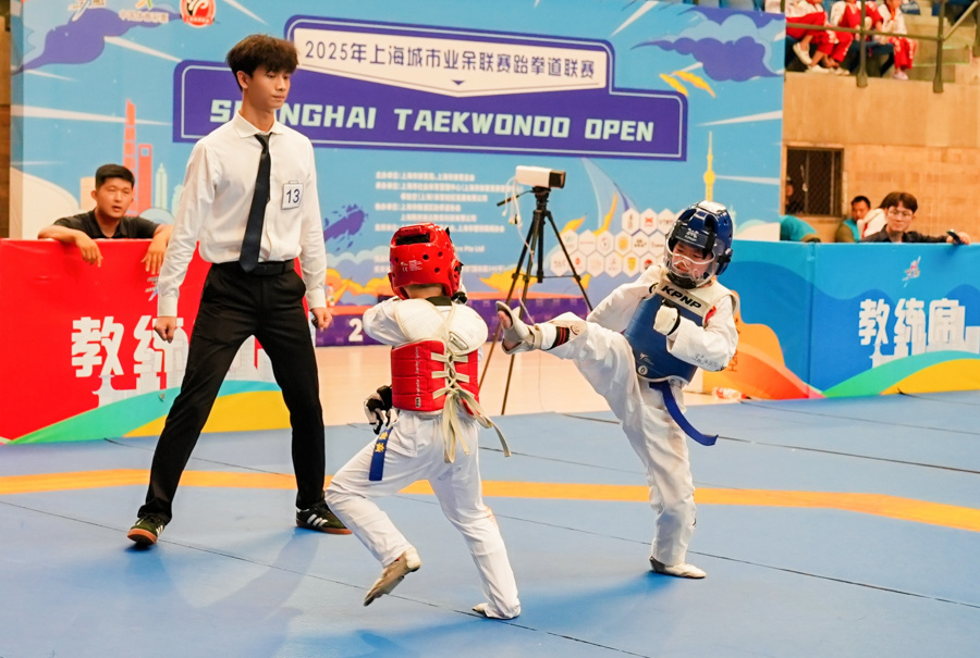 道小将同台
